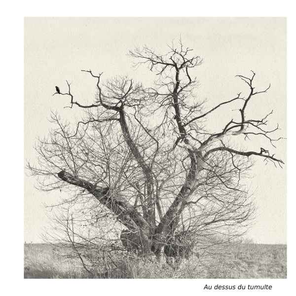 Au dessus du tumulte